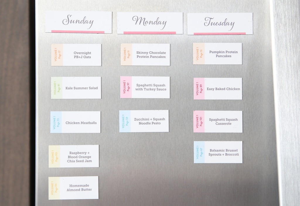 Pre-order: E-Guide Vol. 1 Magnets